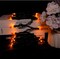 Halloween Orange String Lights – 35 Count, Incandescent Mini Bulbs, 8.5 ft, Black Wire, Connectable (Black Wire-Orange)